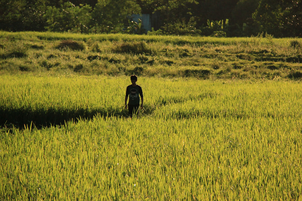 calawis, antipolo