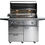 Thumbnail: Lynx 42″ Freestanding Grill with 1 Trident