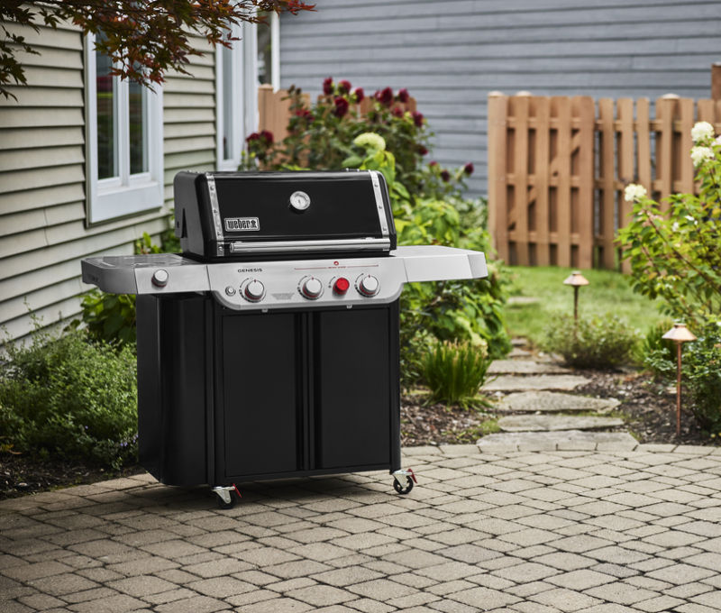Thumbnail: Weber Genesis SP-E-335