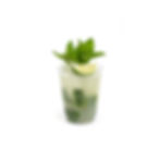 Patio Mojito