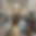 hallway.png