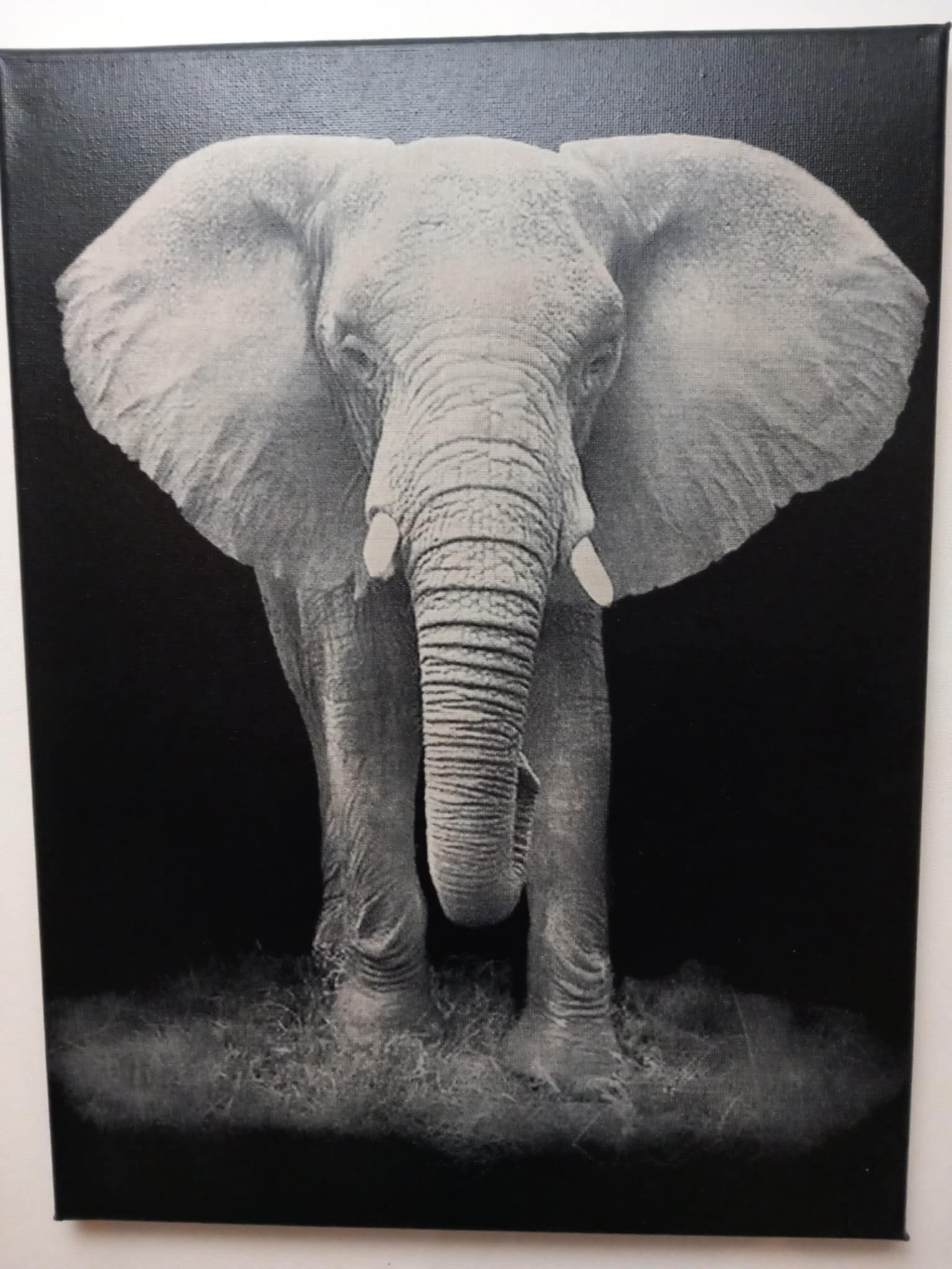 Toile Éléphant