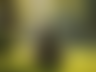 Calming Techniques to Ease Everyday Stress: Effective Stress Remedies