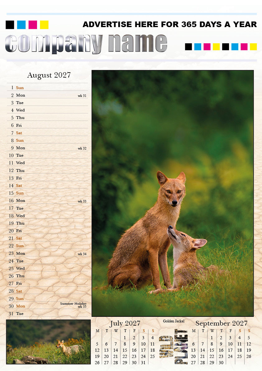 A3-WILD-002-WILD PLANET 20279