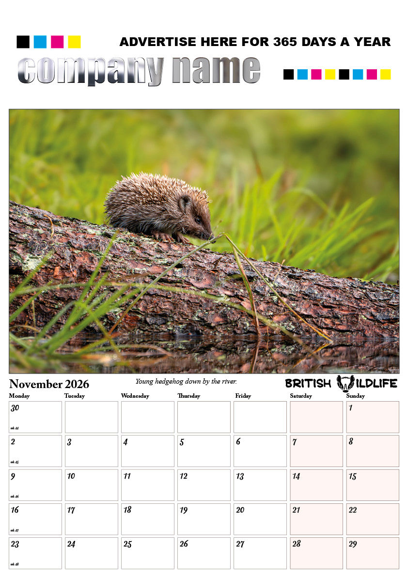 A3-WILD-001-BRITISH_WILDLIFE 202612