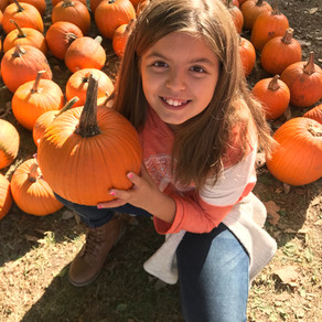 Pumpkin Bars