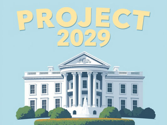 A Mid-Summer Recap of Project 2029