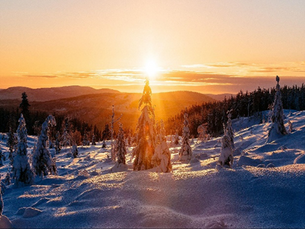   February 2025 Newsletter