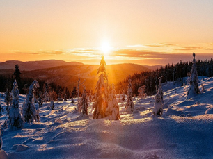   February 2025 Newsletter