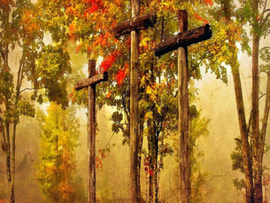 September 2025 Newsletter