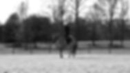 fullsizeoutput_a84.jpeg