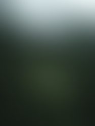 Der Wächter der Drohnen