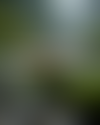 Hideos Maskensammlung