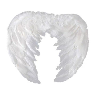 Angel Wing.jpeg