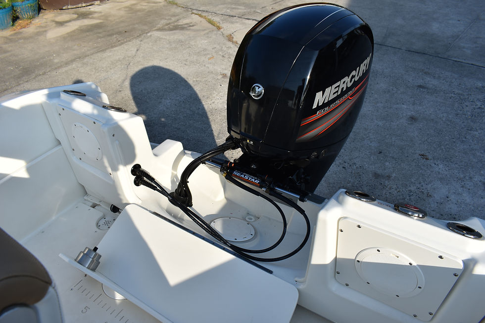Thumbnail: Triumph 195 w/ Mercury 4 stroke 150hp