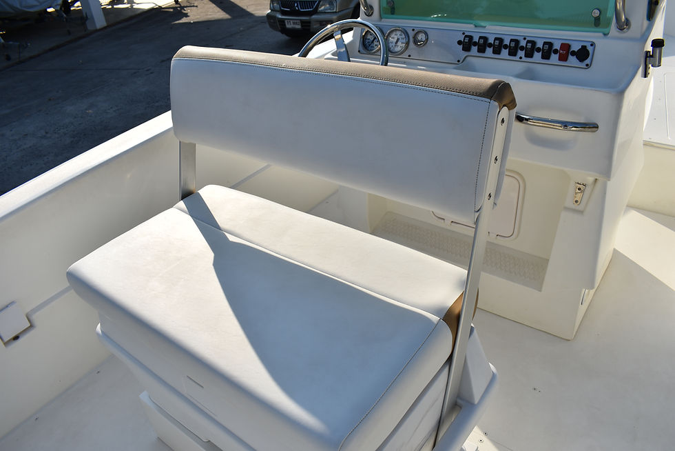 Thumbnail: Triumph 195 w/ Mercury 4 stroke 150hp