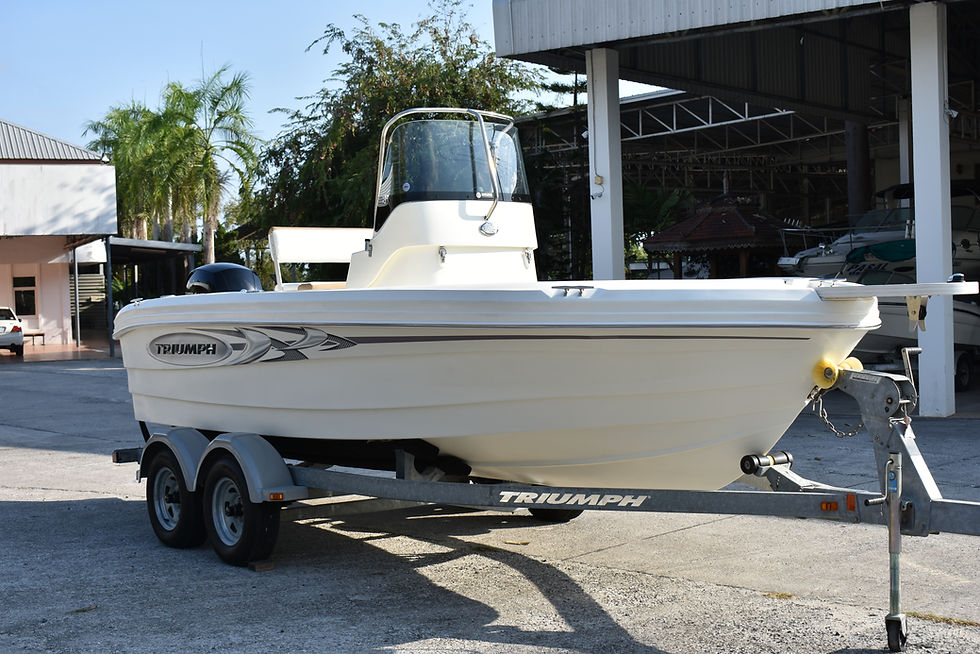 Thumbnail: Triumph 195 w/ Mercury 4 stroke 150hp