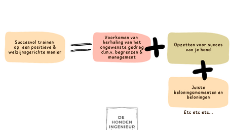 Jezelf en je hond opzetten voor succes tijdens hondentraining