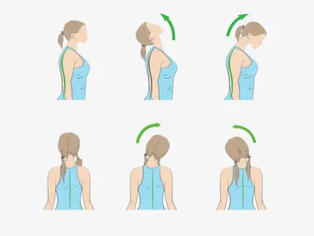 Rethinking Neck Training: Why Isolation Creates Imbalance—and How Feathering the Upper Back Changes Everything