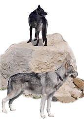 _DSC0098_edited.png