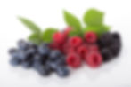 Wildberry Shiraz