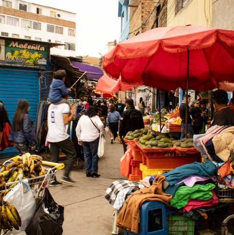 De microempresario a comerciante informal