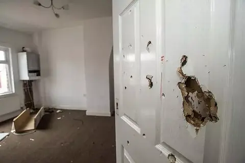 damage.webp