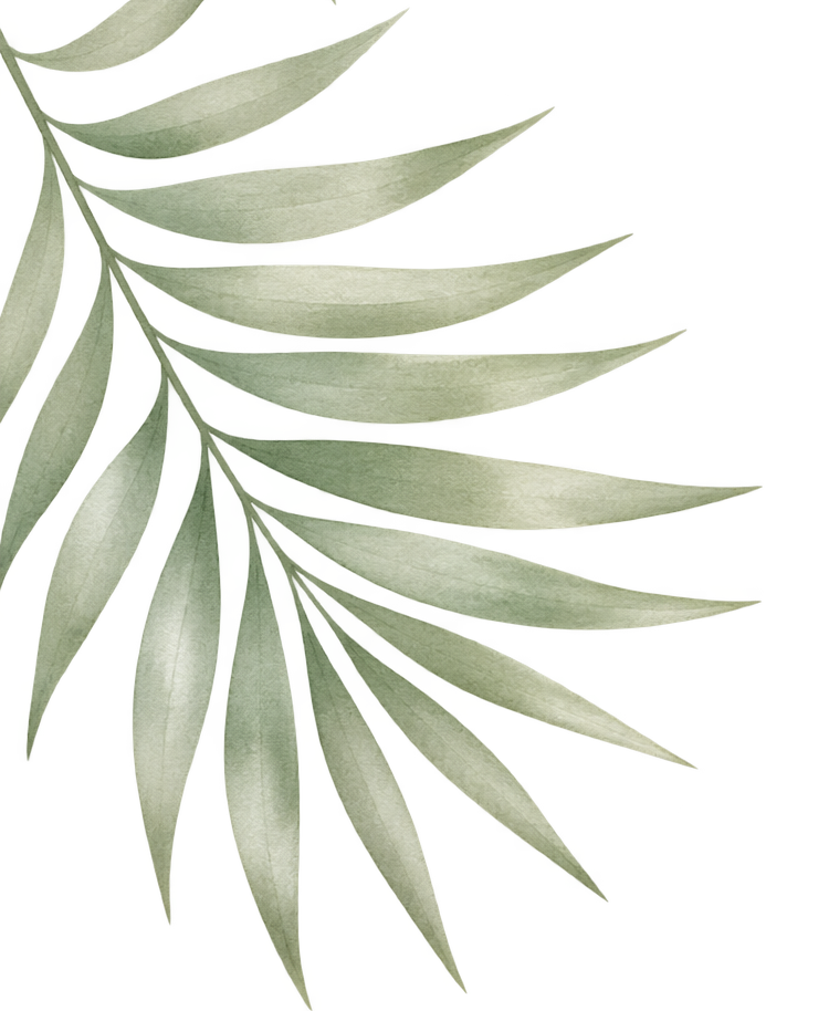 34DE207B-F5D4-401F-AC3C-5AB535AACC87_edited.png