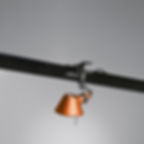 Miniatura: Tolomeo Pinza