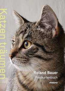 Katzen träumen - Postkartenbuch