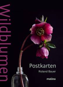 Wildblumen Postkartenbuch