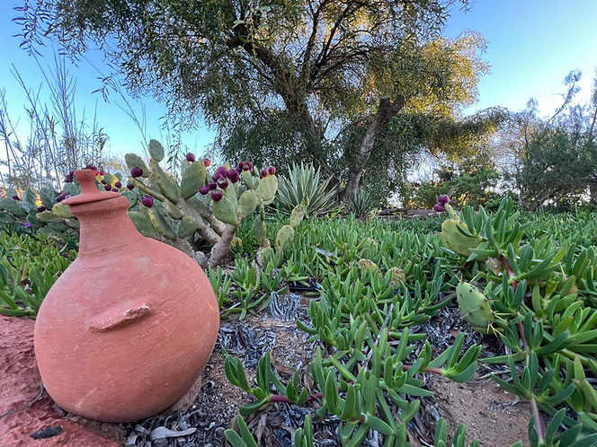 WhatsApp Image 2026-01-08 at 23.21.53.jpeg