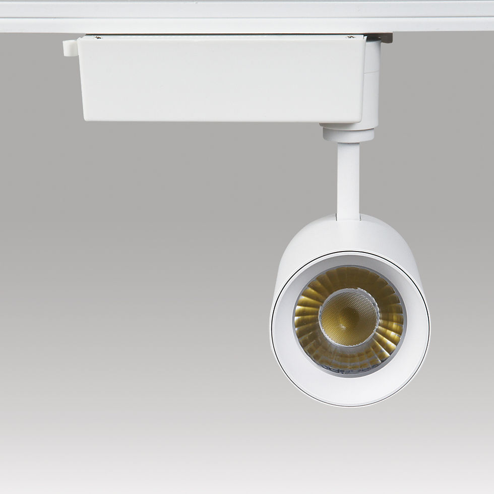 섬네일: SL-07 / NEX-80 DC