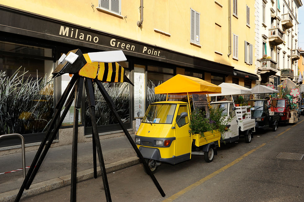 Alveare di Via Frisi  43.JPG