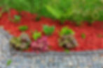 Mulched flower bed