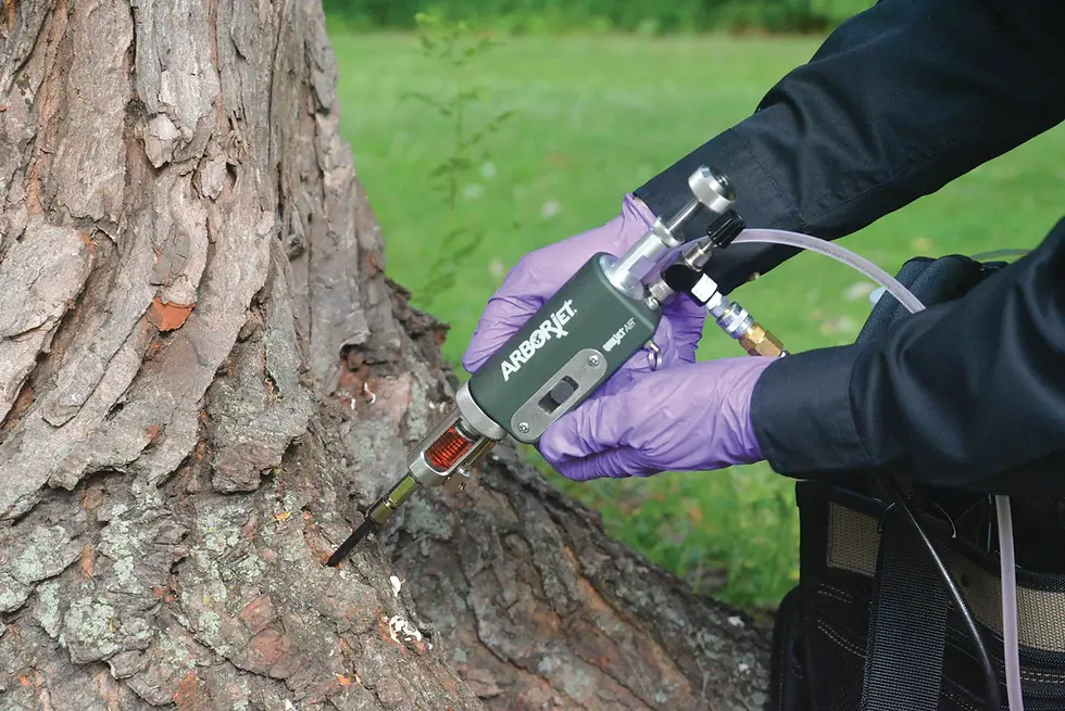 Arborjet tree injection