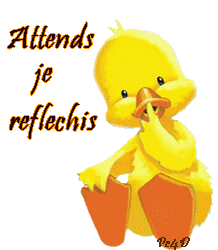 reflexion-titi.gif