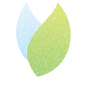 leaf06.png