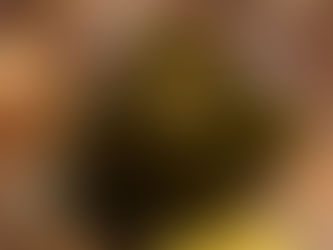 石垣島のおすすめご飯屋さん （3）