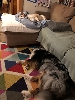 IMG_0954.jpeg