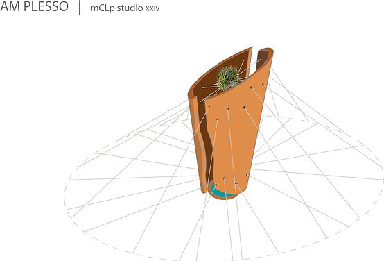 AM PLESSI extra2.jpg