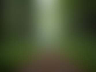 Embracing the Unseen Moments: Savoring Life's Simple Joys