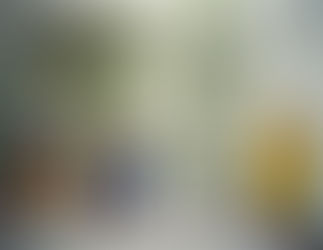 Colors of Devotion: Exploring Mithila Art and the Spirit of Janakpur