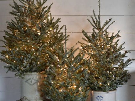 CHRISTMAS DECORATING