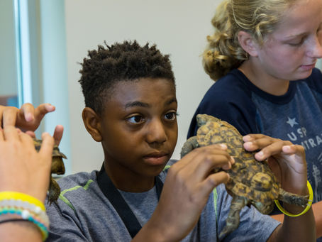 WMAQ-TV (NBC): Middle Schoolers Who Win Essay Contest Will Attend Veterinarian Camp