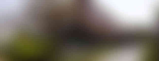 Painel metálico perfurado valoriza luz natural e convivência em casa de 450 m²