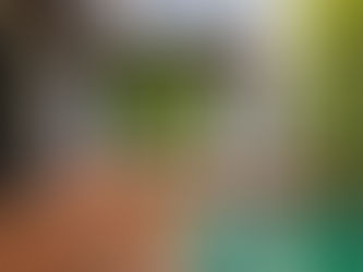 Casa de dois pavimentos voltada para a área de lazer