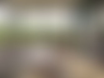 Design Brasileiro inspira interiores em São José dos Campos