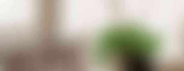 A arquiteta Barbara Dundes mostra seu apê em São Paulo