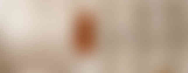 A arquiteta Barbara Dundes mostra seu apê em São Paulo